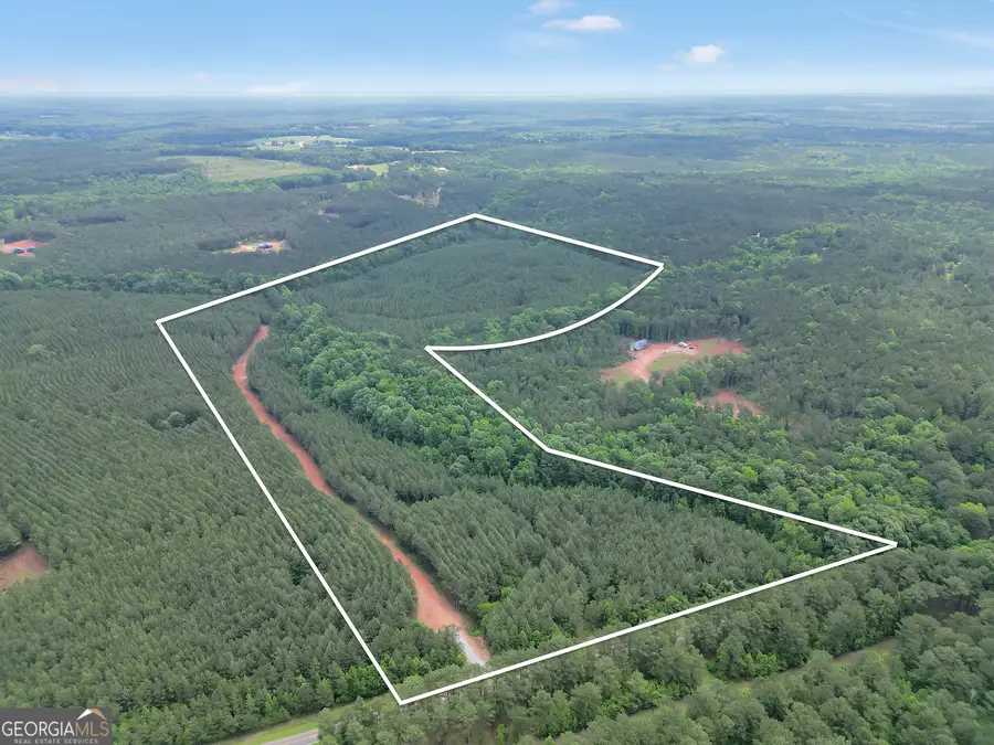 52.4 ACRES Goolsby Road #52.4 ACRES, Monticello, GA 31064 - #3
