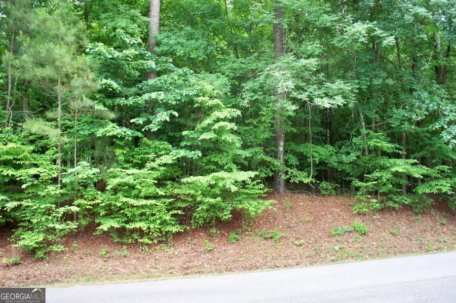 1390 Northwoods Drive, Greensboro, GA 30642 - #3