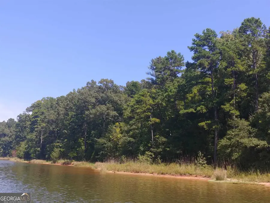 LOT 24 Patriots Point, Elberton, GA 30635 - #2