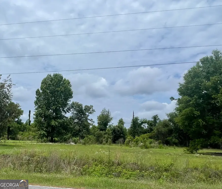 181 Timberloch Drive, Vidalia, GA 30474 - #2