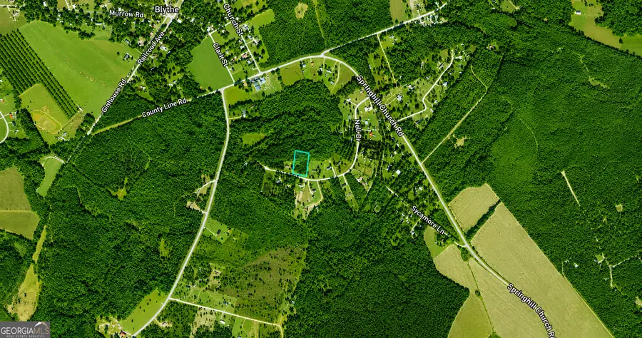 1.99 ACRES Nell Drive, Blythe, GA 30805 - #2