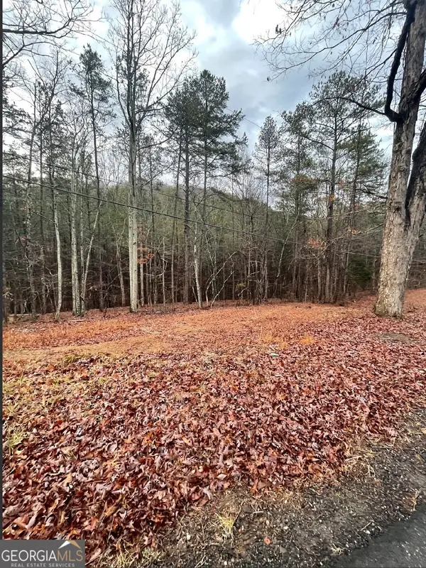 130 Connesena Road, Kingston, GA 30145