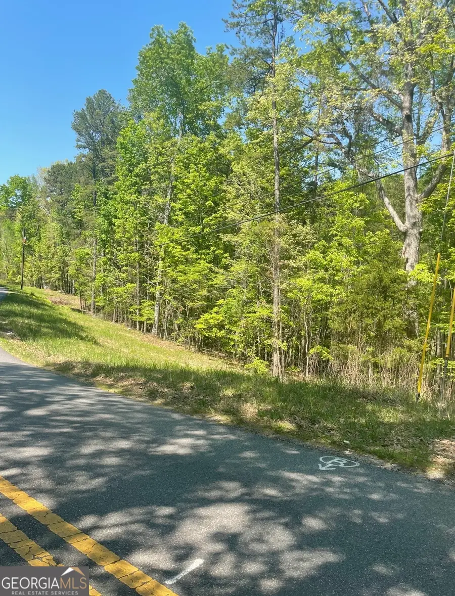130 Connesena Road, Kingston, GA 30145 - #3