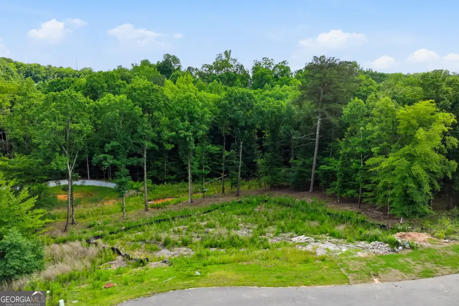3079 Turning Creek Trail, Dacula, GA 30019 - #2