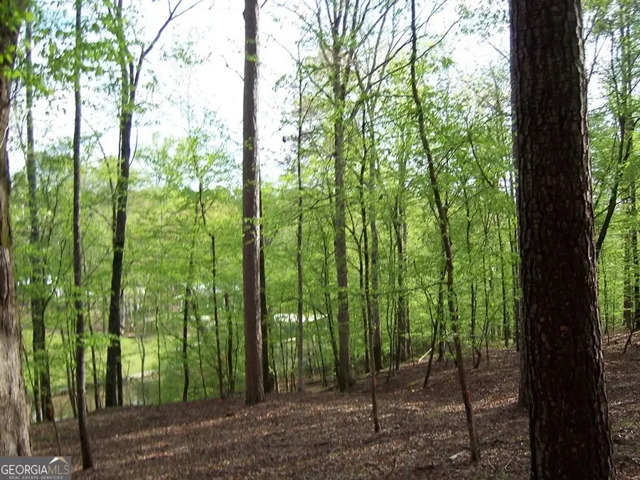 0 Brer Rabbit Trail, Milledgeville, GA 31061 - #3