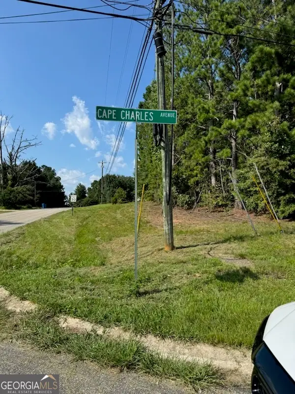 0 Cape Charles Avenue, Hampton, GA 30228 - #3