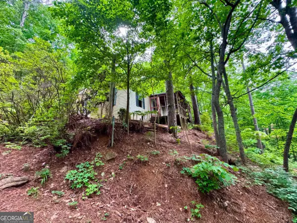 895 Newman Court Ne, Ranger, GA 30734