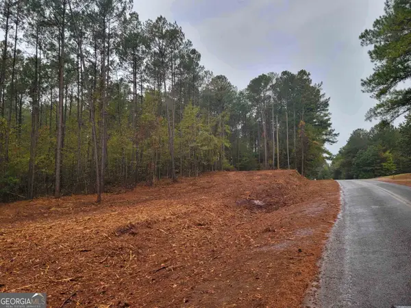 14 ACRES Lamars Mill Road, Flovilla, GA 30216