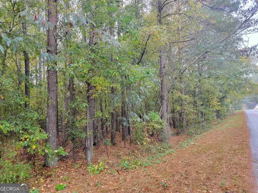 14 ACRES Lamars Mill Road, Flovilla, GA 30216 - #3