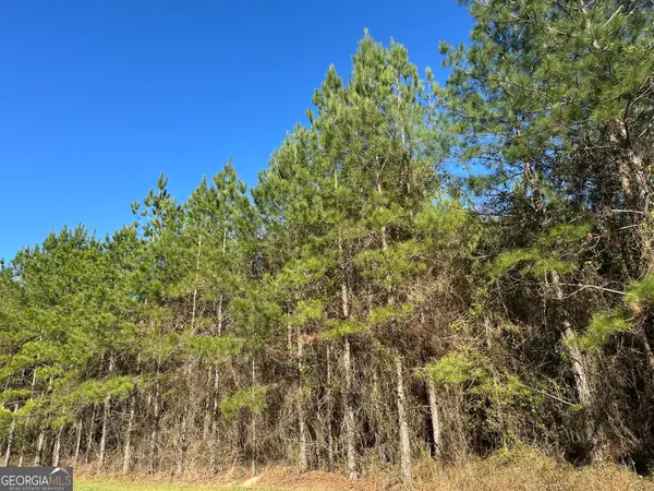 0021 Barnes Road, Gordon, AL 36343