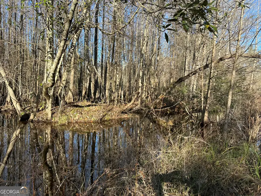 0021 Barnes Road, Gordon, AL 36343 - #2