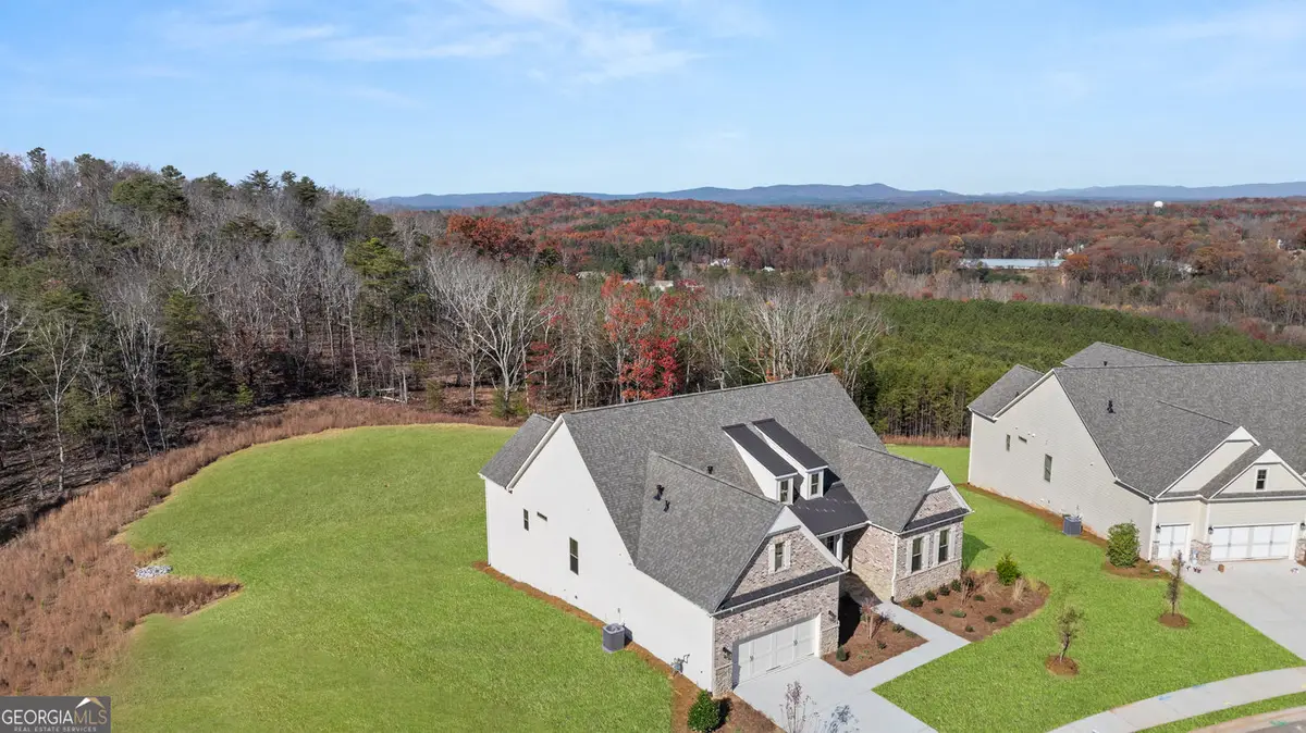 236 Laurel Vista Drive, Canton, GA 30114 - #1
