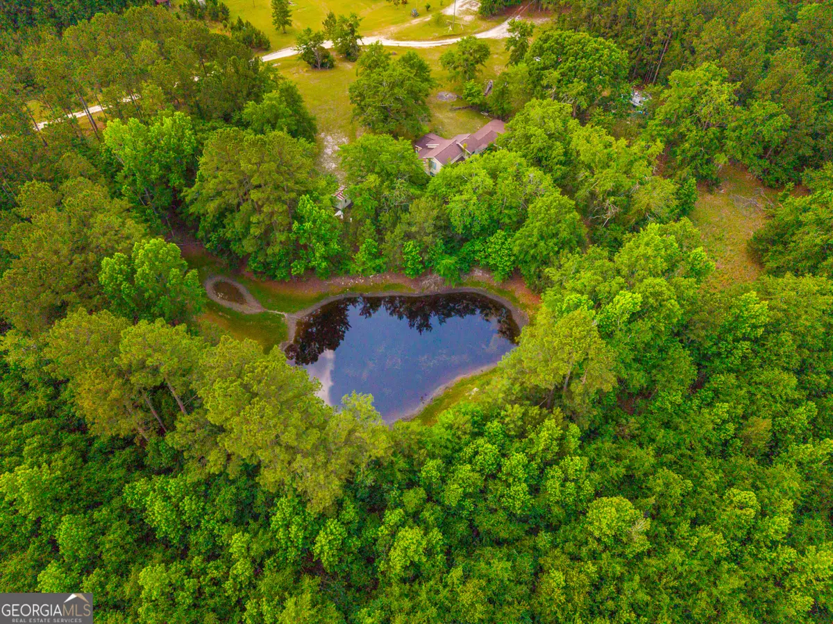 3869 Hiltonia-perkins Road, Sylvania, GA 30467 - #1