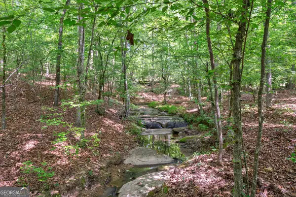 0 Gene Smith Road, Carlton, GA 30627