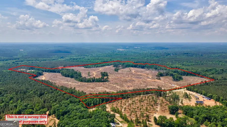 0 Gene Smith Road, Carlton, GA 30627 - #2