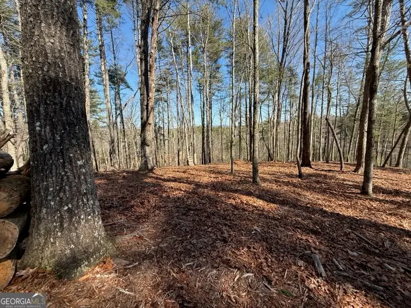 120R Red Oak Trail, Ellijay, GA 30540 - #2