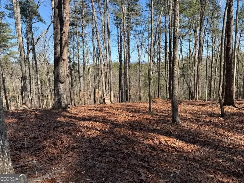 120R Red Oak Trail, Ellijay, GA 30540 - #3