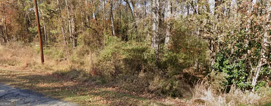 2842 Drowning Creek Road, Dacula, GA 30019 - #3