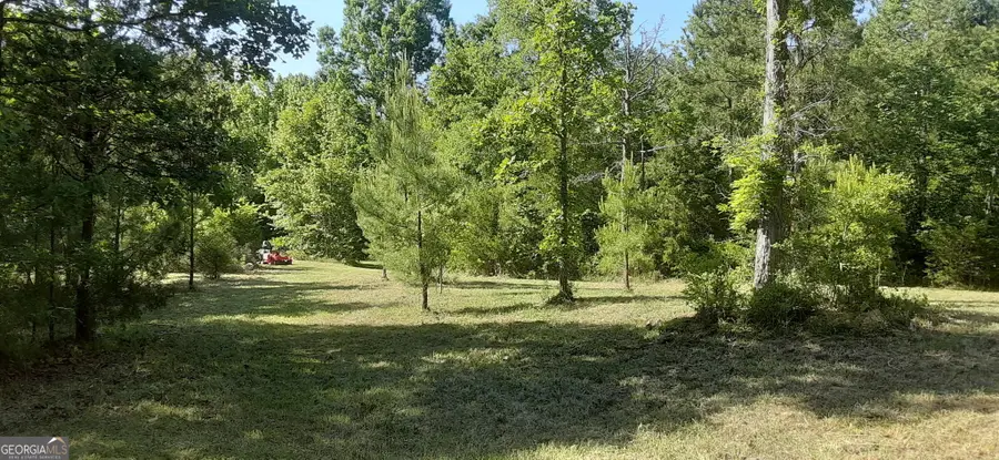 0 Delhi Road, Tignall, GA 30668 - #3