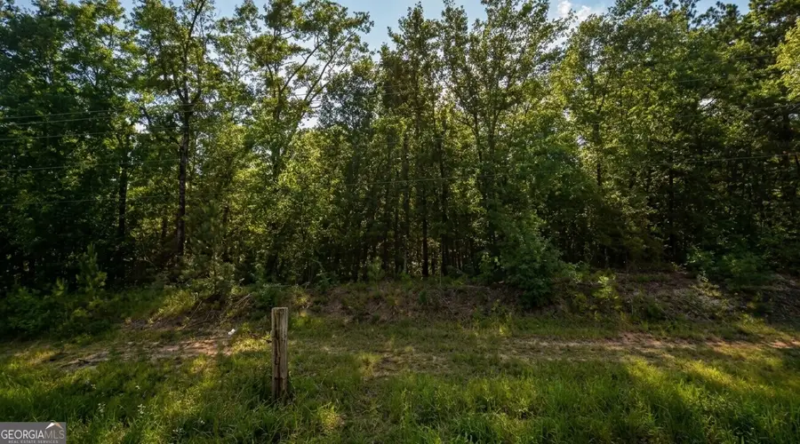 0 Hwy 45 #TRACT A, Eight Mile, AL 36613 - #2