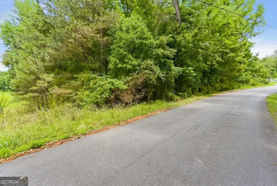 0 Lee Road, Cedartown, GA 30125 - #3