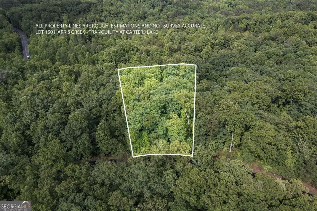 LOT 150 Tranquility @ Carters Lake, Ellijay, GA 30540 - #1