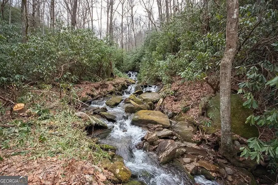 575 Carolina Springs Lane, Franklin, NC 28734 - #2