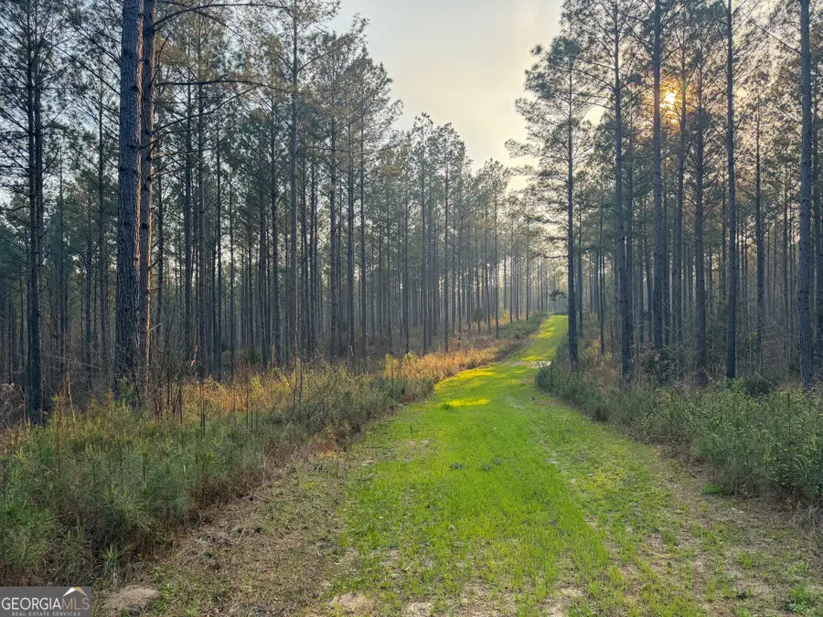 117 +/- Acres On Mccosh Mill Rd., Franklin, GA 30217 - #3