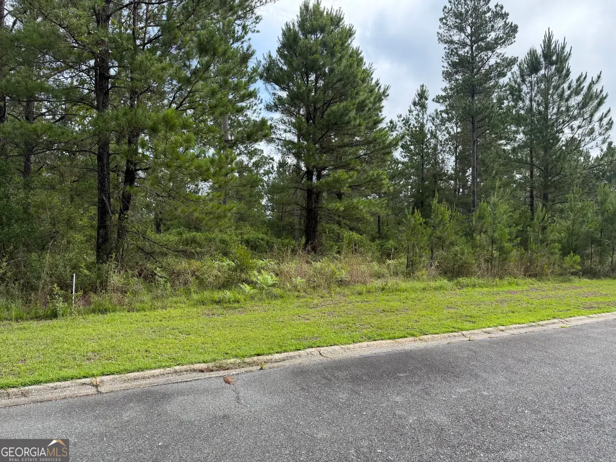 0.59 Big Horse Drive, Waynesville, GA 31566 - #1