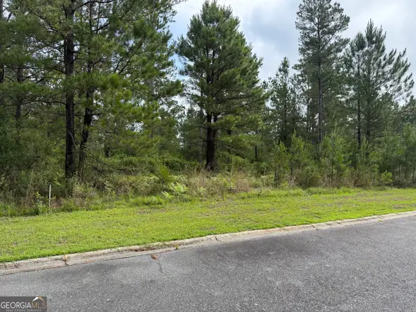0.59 Big Horse Drive, Waynesville, GA 31566