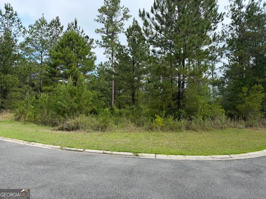 0.59 Big Horse Drive, Waynesville, GA 31566 - #2