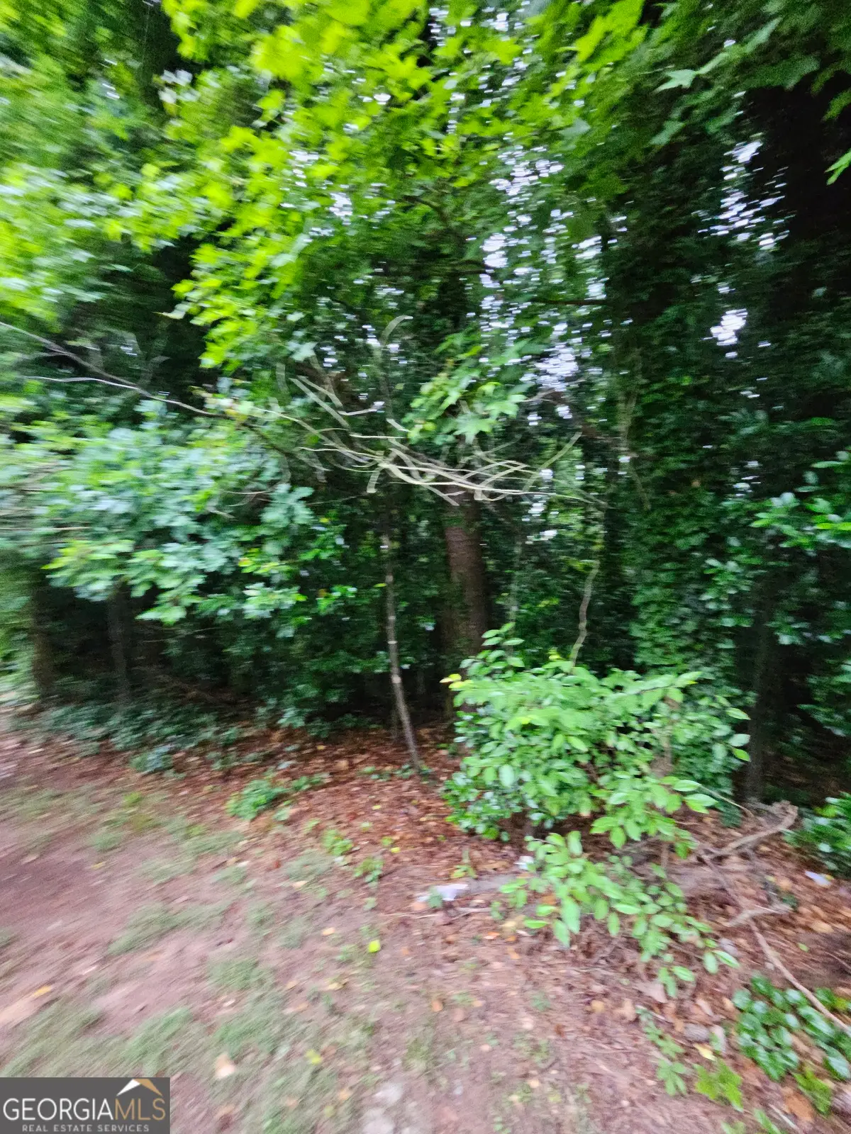 2409 Tarian Drive, Decatur, GA 30034 - #1