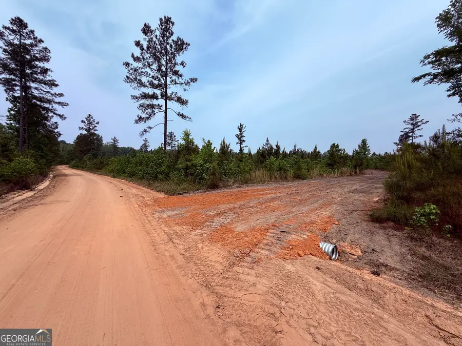 12 Graham Lane, Cadwell, GA 31009 - #3