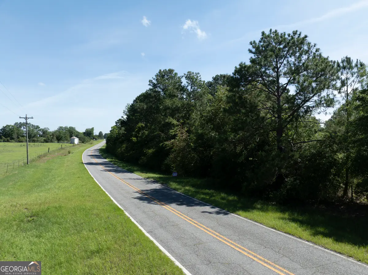 0 Scotland Road, Alamo, GA 30411 - #1