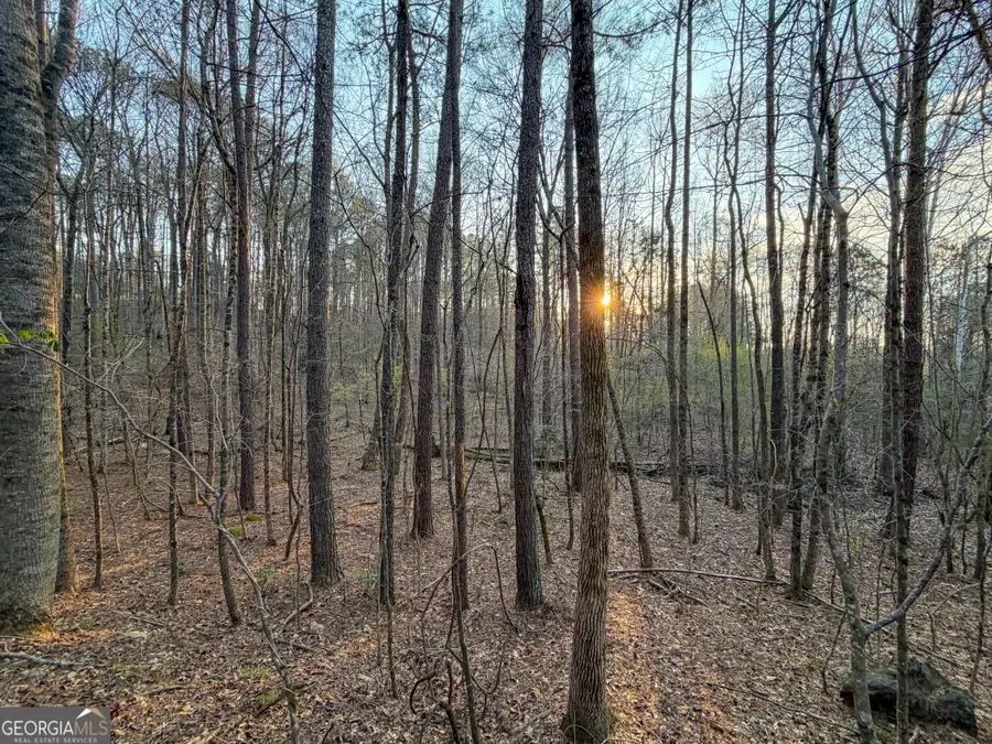 83 +/- Acres On Us Hwy 27, Franklin, GA 30217 - #3