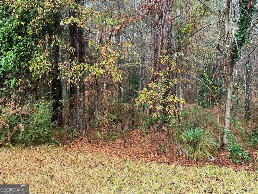 0 Cherokee Dr., Tallapoosa, GA 30176 - #2