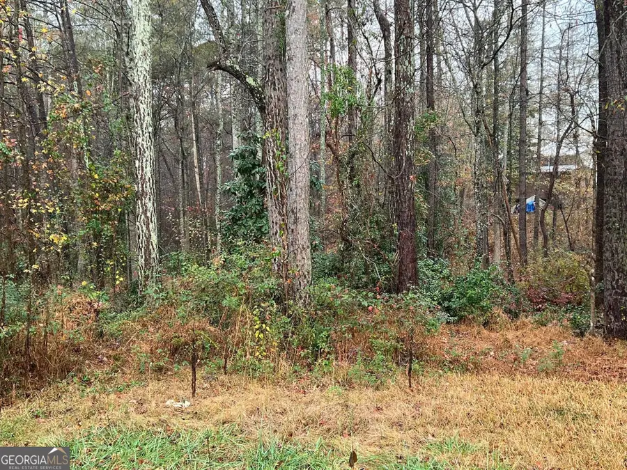 0 Cherokee Dr., Tallapoosa, GA 30176 - #3