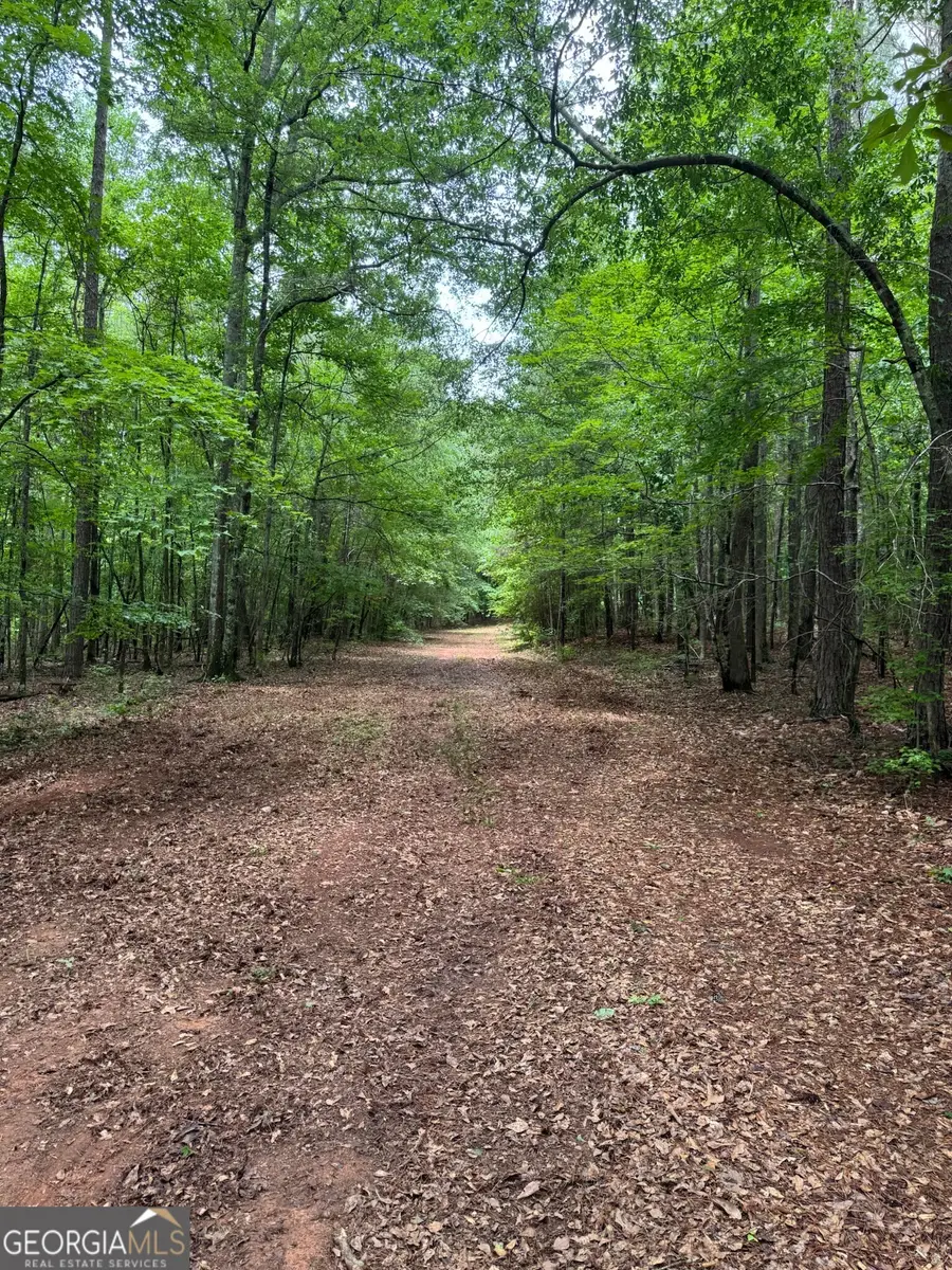 646 Lakeside Road, Williamson, GA 30292 - #3