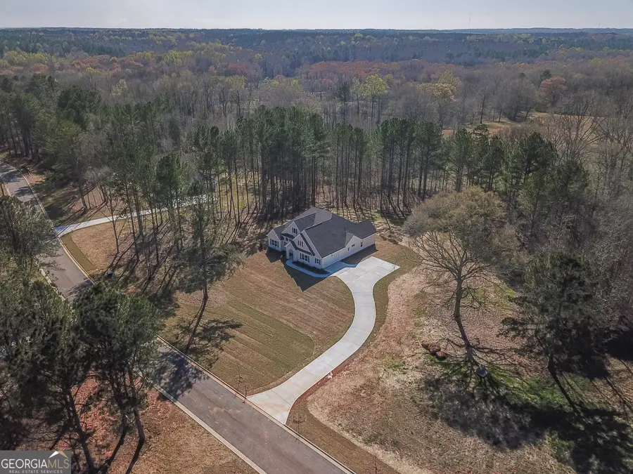 156 Hidden Meadows Drive, Gay, GA 30218 - #2