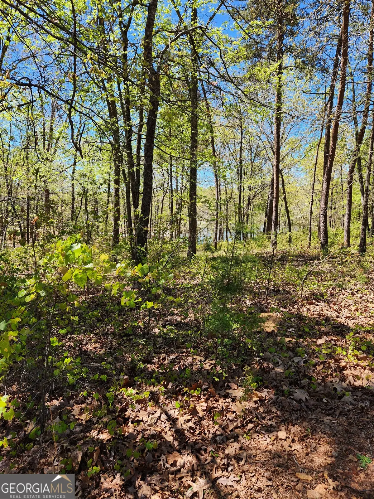 0 Crawfords Ferry Point, Hartwell, GA 30643 - #1
