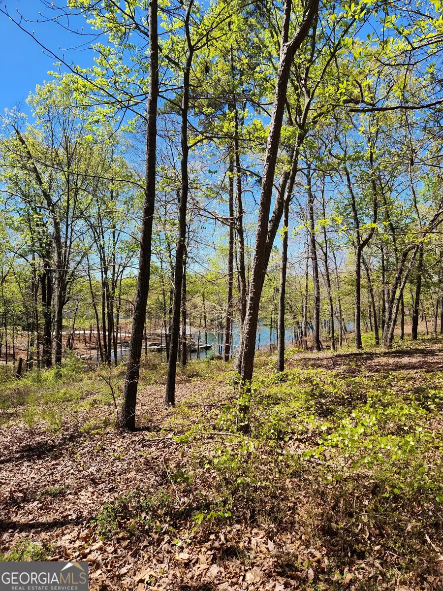 0 Crawfords Ferry Point, Hartwell, GA 30643 - #3