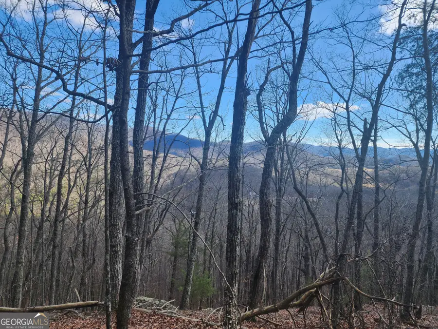 0 Trackrock Gap Road, Blairsville, GA 30514 - #3