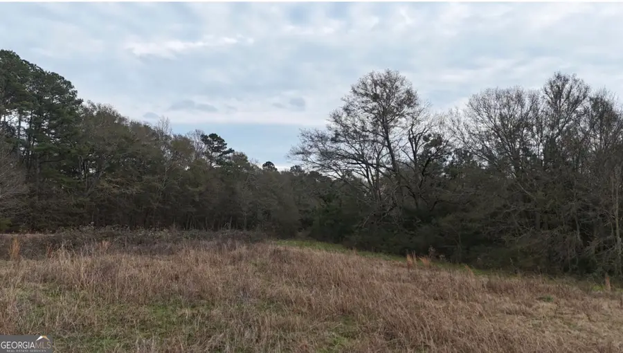 0ABC Bowman Highway, Dewy Rose, GA 30634 - #3