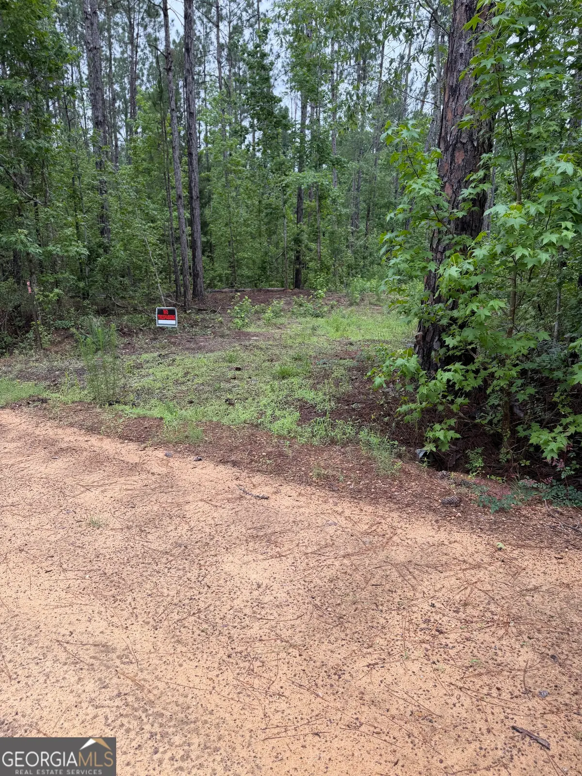 0 Highway 46, Cadwell, GA 31009 - #1