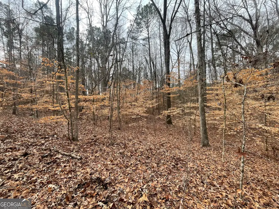 0 Us Hwy 100, Franklin, GA 30217 - #2