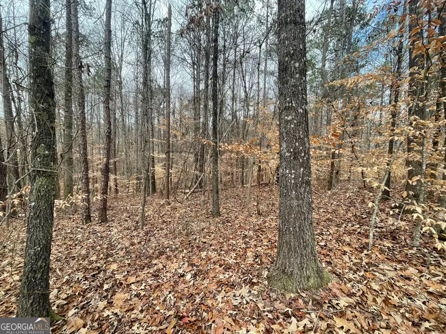 0 Us Hwy 100, Franklin, GA 30217 - #3