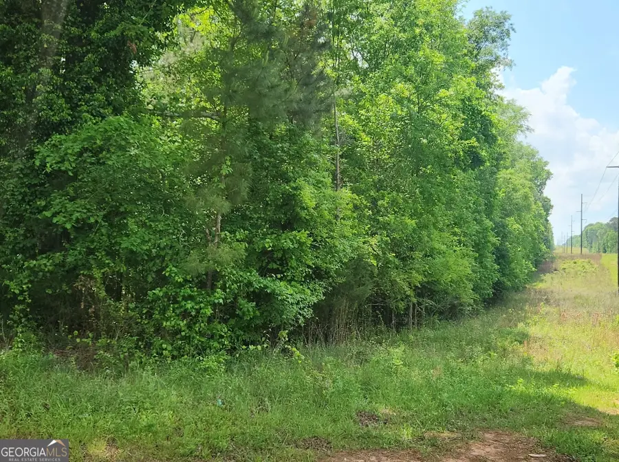 1241 Old Siloam Road, Union Point, GA 30669 - #3