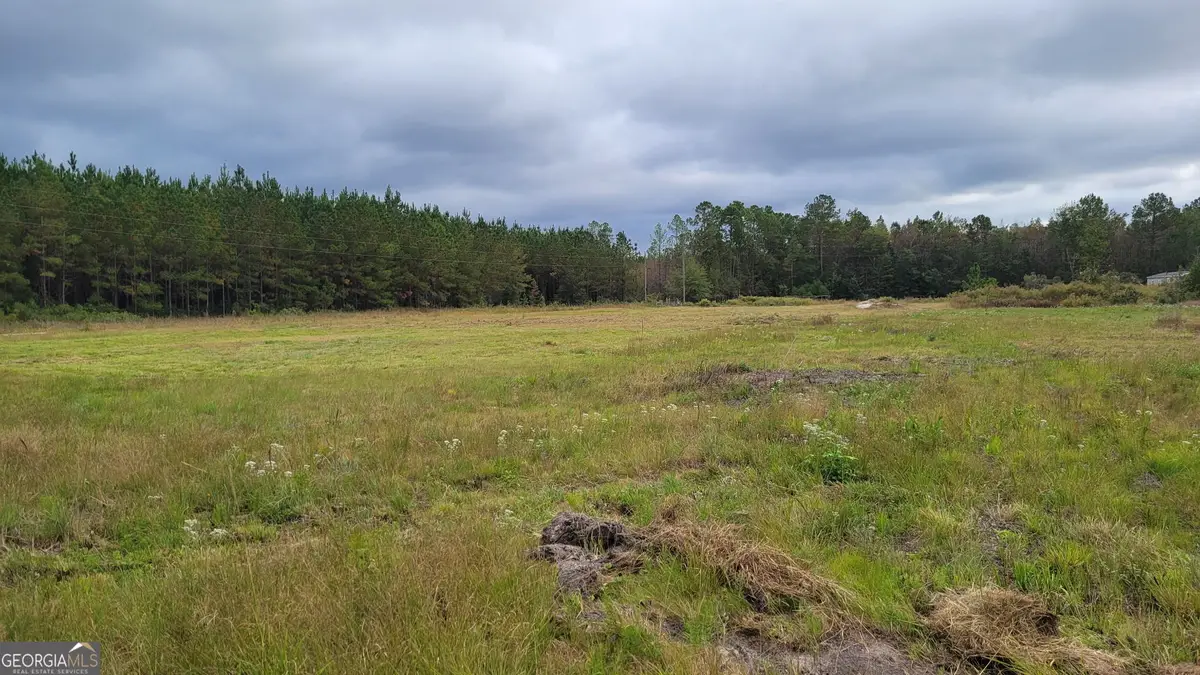 88 Rogers Break Road, Jesup, GA 31546 - #1