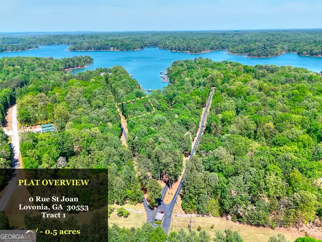 0 Rue St Joan, Lavonia, GA 30553 - #1