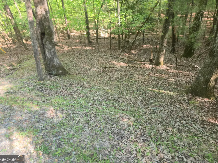 0 Hart Court, Ellijay, GA 30540 - #3